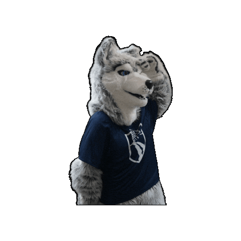 Wolfpack Looking Sticker by Madison College