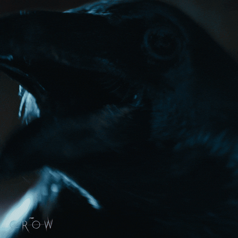 Bill Skarsgard Crows GIF by Lionsgate