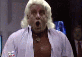 Image result for Ric Flair Woo gifs