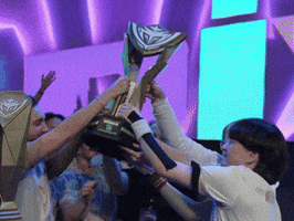 Misa Esports GIF