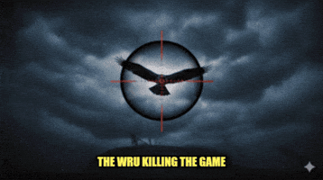 Welsh Rugby Ospreys GIF by Exposed Tech