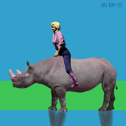 Marilyn Monroe Rhinoceros GIF by joelremy222