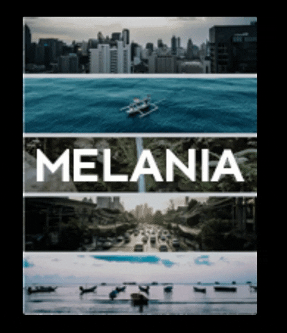 espresets tropical island melania presets GIF