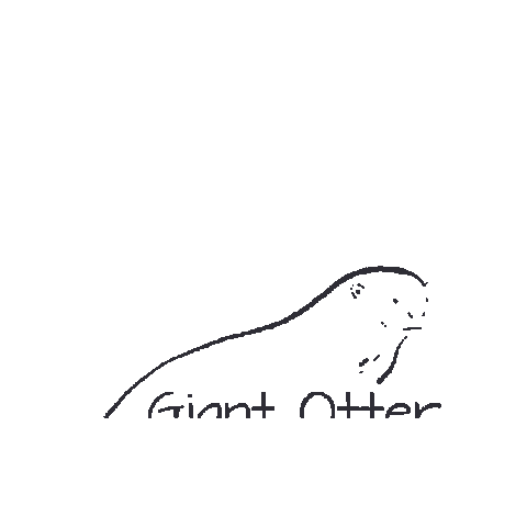 Donatenow Doeagora Sticker by ProjetoAriranhas