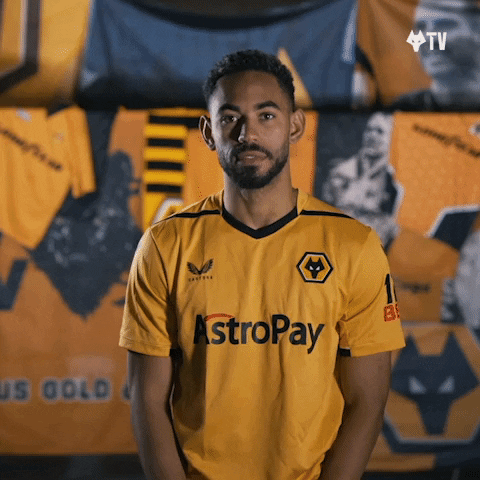 Come On Yes GIF by Wolves