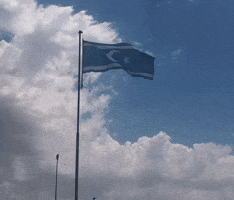 Turkmen Kirkuk GIF