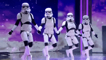 followyourpet  GIF