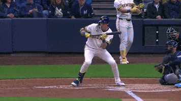 Milwaukee Brewers Sport GIF by MLB