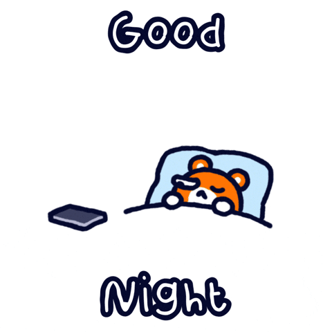 Good Night Sticker GIF