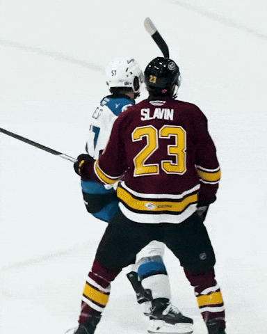 Hockey Ahl GIF by Colorado Eagles