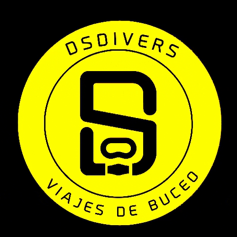 DSDIVERS SL GIF