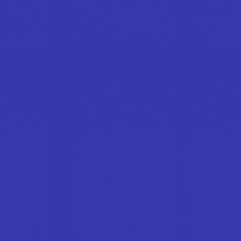 Reunion Martinique GIF by Entrepreneursdoutremer