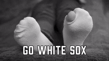 White Sox Sport GIF by Sealed With A GIF