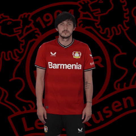 No Idea What GIF by Bayer 04 Leverkusen