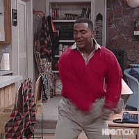 The Fresh Prince Of Bel Air Carlton Dance GIF by HBO Max