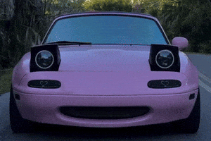 Pink Car GIF