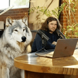 Dog Wolf GIF by TomsProject