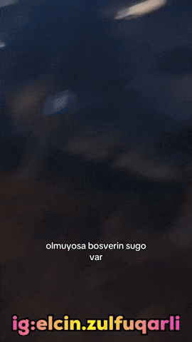 Elcin Sugo GIF