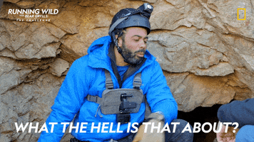Explain Season 2 GIF by National Geographic Channel
