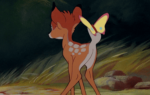 Bambi GIF - Find & Share on GIPHY