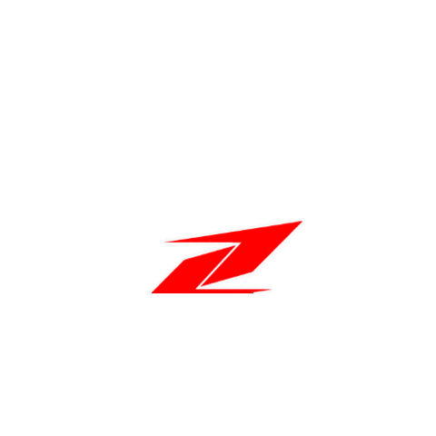 Zandonà - Protect Your Passion Sticker