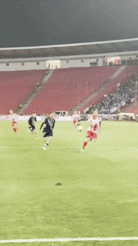 GIF by FK Crvena zvezda