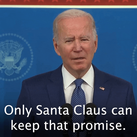 Joe Biden Christmas GIF by The Democrats