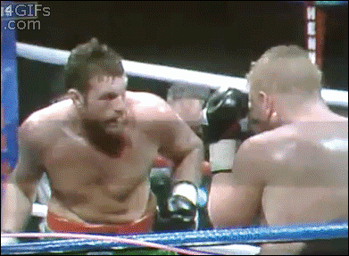 Boxer GIFs - Get the best GIF on GIPHY