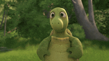 Over The Hedge GIFs - Find & Share on GIPHY