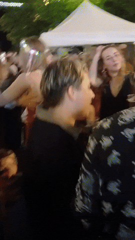 Party GIF