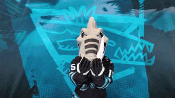 San Jose Love GIF by San Jose Barracuda