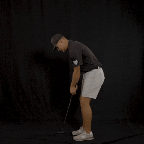 Fort Wayne Golf GIF by Purdue Fort Wayne Athletics