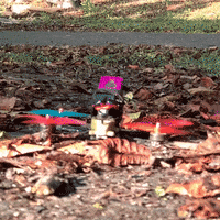 200.gif?cid=fc005b08ed17d642f7498dac5bb8437bfc1034ce9e26886c&rid=200.gif&ct=g