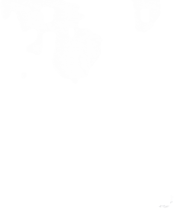 Ekonomicko-správní fakulta MU Sticker