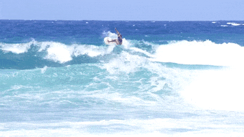 Surfing GIF