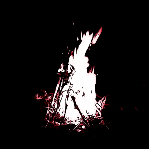 Camp Fire Animation GIF by The3Flamingos