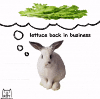 Thinking Rabbit GIF