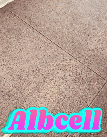 GIF by Alb Cell