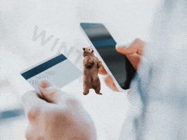 Wintips GIF