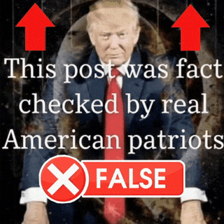 Fact Check gifs - Find & Share on GIPHY