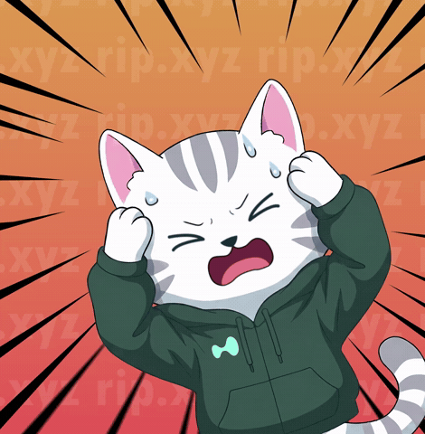 Cat Help GIF by Hypurr