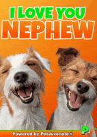 Henlo Hooman Fren GIF by PetJuvenate - PJ