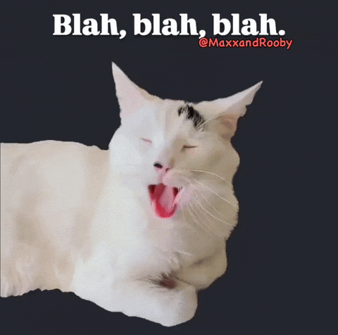 White Cat GIF