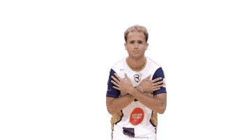 Volleyball Sticker by Reims Volley 51