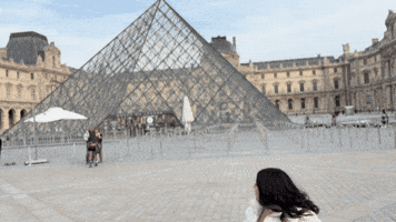 France Smile GIF