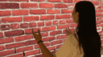 Brick Wall Talking GIF