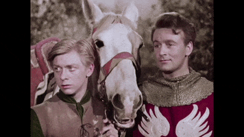 Horse GIF