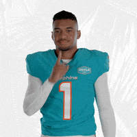 Football Sport GIF by Miami Dolphins