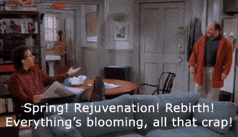 George Costanza Spring GIF