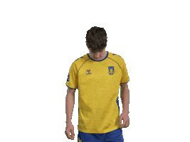 Sticker by Brøndby IF